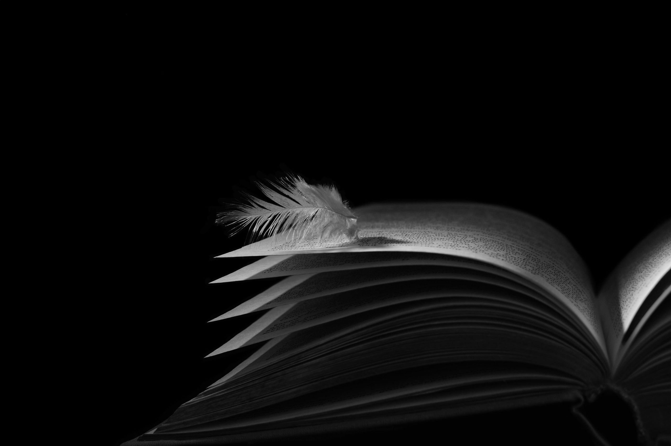 book angel( skrezhal)